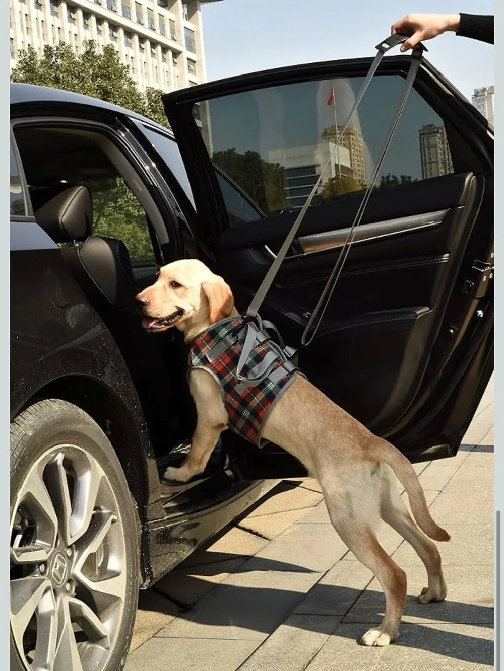 ROZKITCH Dog Lift Harness, Grid Pet Chest Support Aid Small. 2562/bb14-1